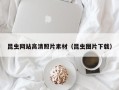 张北昆虫网站高清照片素材（昆虫图片下载）